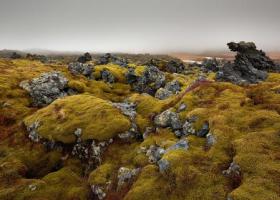 Многообразие и очарование природы Исландии – потрясающая коллекция фотографий удивительной страны